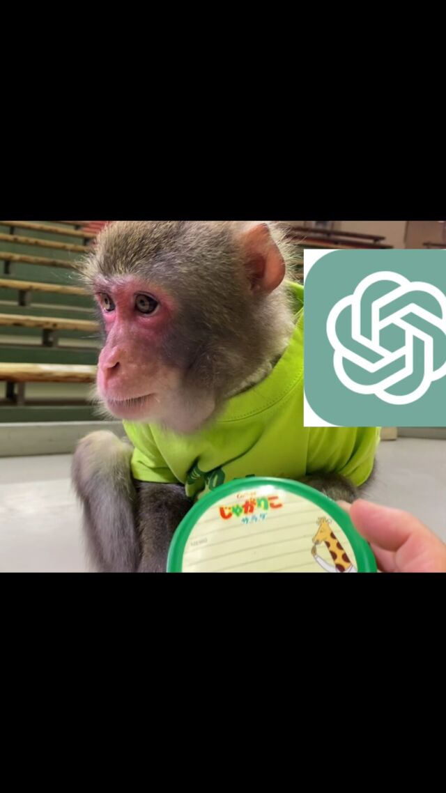 I am Shirotaro🐵. Thanks for all the comments! I'm planning to update about once every 5 days! The URL for my friend's YouTube channel is listed in the profile section.

しおたろう🐵です。沢山のコメントをありがとう！大体5日に1回の更新を考えています！私達のYouTubeチャンネルはプロフィール欄から飛べます。

#asomonkey #aso #猿 #猿まわし #monkey #funnymonkey #ape #japan #animal #cuteanimals #monkeys #monyet #opice #funnyanimals #mymonkey #scimmia #affe  #обезьяна #simio #scimmia #macaco #قرد #majom #μαϊμού #abe #קוף #猴子 #원숭이 #میمون