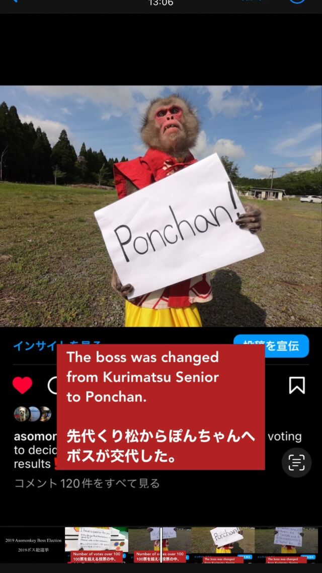 Thank you for waiting so long 🙇‍♂️ This is the event you've all been waiting for.  Watch the video to learn more🐒.
————————————————————————
大変長いことお待たせしました🙇‍♂️皆様お待ちのアレです。動画見てみてください🐒。
———————————————————————
#猿
#サル
#猿まわし
#猿回し
#さる
#monkey
#monkeys
#mymonkey
#littlemonkey
#funnymonkey
#ape
#monyet
#opice
#funnyanimals
#scimmia
#affe
#обезьяна
#simio
#macaco
#میمون
#قرد
#μαϊμού
#abe
#קוף
#猴子
#원숭이
#animals
#animal
#cuteanimals