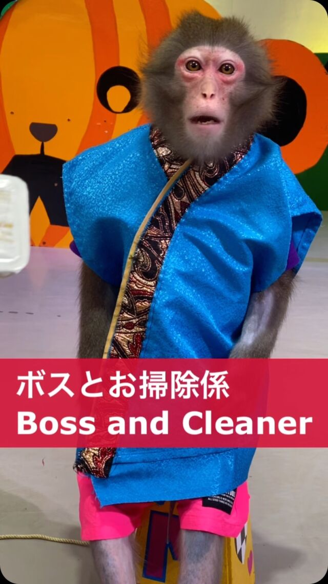 This is what will happen if he wins the election 😄
 Or this is what happens if you lose the election 😒

選挙に勝つとこうなります😄
選挙に負けるとこうなります😒

#猿回し #猿 #猿まわし #monkey #funnymonkey #ape #japan #animal #cuteanimals #monkeys #monyet #opice #funnyanimals #mymonkey #scimmia #affe  #обезьяна #simio #scimmia #macaco #قرد #majom #μαϊμού #abe #קוף #猴子 #원숭이 #میمون